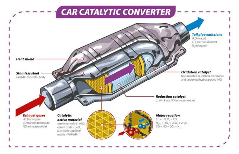 What Does The Term Biological Catalyst Mean